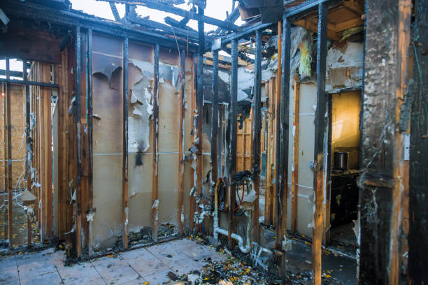 Professional Smoke Damage Removal technician working in Sparks Glencoe, MD